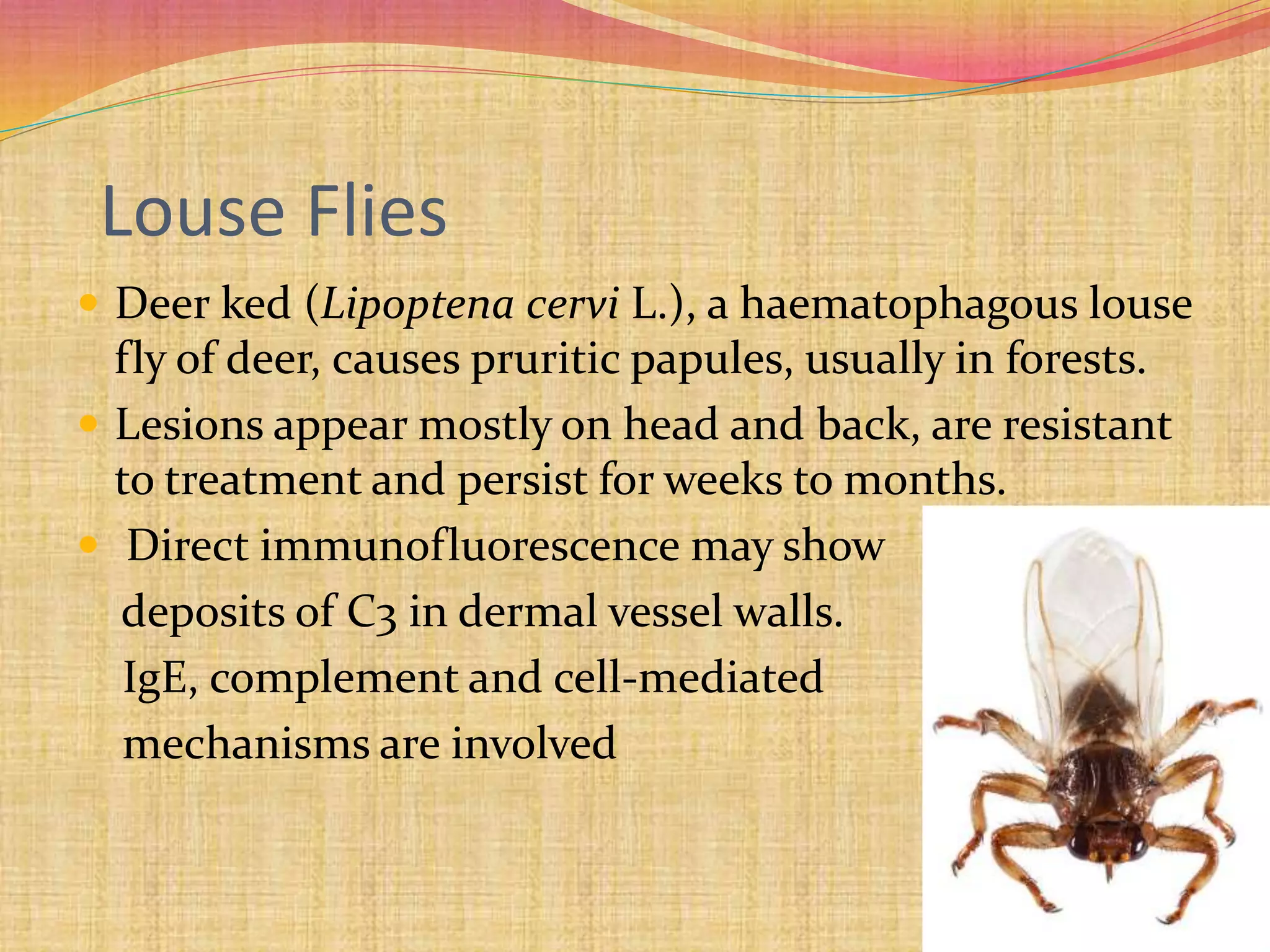 Insect Bite Reactions Pptx