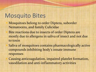 Insect bite reactions | PPTX