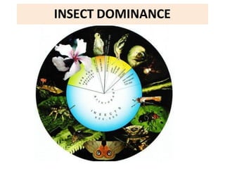 Insect body segmentation................ | PDF