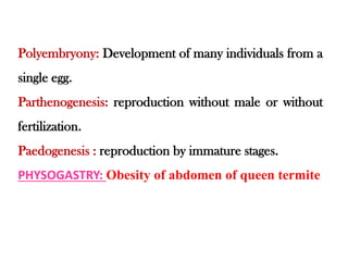 Insect body segmentation................ | PDF