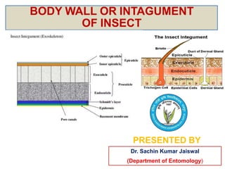 BODY WALL OR INTAGUMENT
OF INSECT
PRESENTED BY
Dr. Sachin Kumar Jaiswal
(Department of Entomology)
 