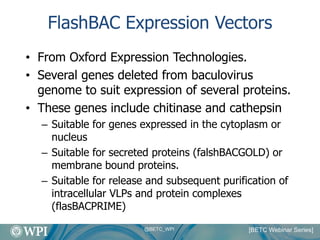 High Level Recombinant Protein Production In Insect Cell Culture | PDF