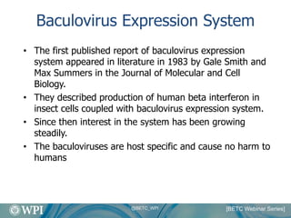 High Level Recombinant Protein Production In Insect Cell Culture | PDF