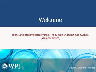 Welcome
High Level Recombinant Protein Production In Insect Cell Culture
[Webinar Series]
 