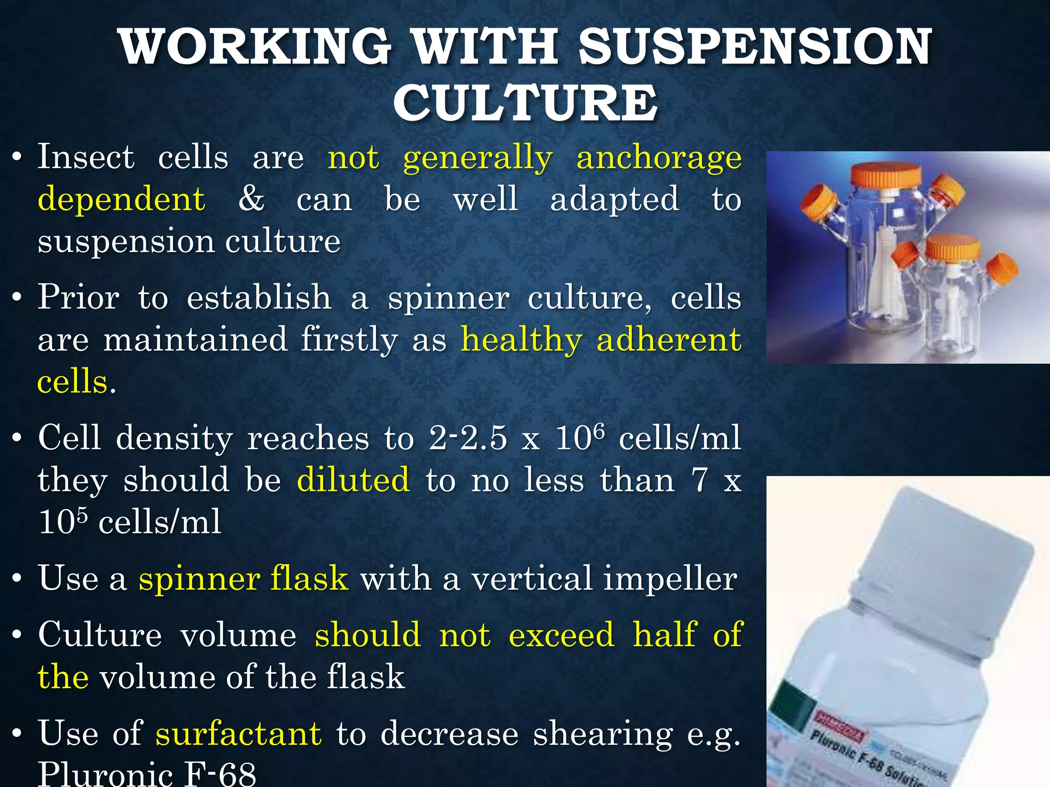 Insect cell culture | PPTX