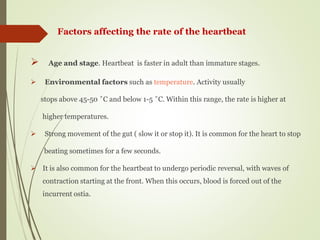  Age and stage. Heartbeat is faster in adult than immature stages.
 Environmental factors such as temperature. Activity usually
stops above 45-50 ˚C and below 1-5 ˚C. Within this range, the rate is higher at
higher temperatures.
 Strong movement of the gut ( slow it or stop it). It is common for the heart to stop
beating sometimes for a few seconds.
 It is also common for the heartbeat to undergo periodic reversal, with waves of
contraction starting at the front. When this occurs, blood is forced out of the
incurrent ostia.
Factors affecting the rate of the heartbeat
 