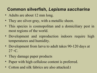 Common silverfish, Lepisma saccharina
• Adults are about 12 mm long.
• They are silver-gray, with a metallic sheen.
• This species is cosmopolitan and a domiciliary pest in
  most regions of the world.
• Development and reproduction indoors require high
  temperatures and humidity.
• Development from larva to adult takes 90-120 days at
  27 ◦C.
• They damage paper products
• Paper with high cellulose content is preferred.
• Cotton and silk fabrics are also attacked.t
 
