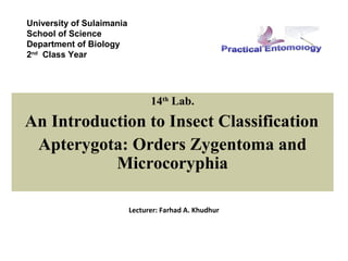 University of Sulaimania
School of Science
Department of Biology
2nd Class Year




                                 14th Lab.
An Introduction to Insect Classification
 Apterygota: Orders Zygentoma and
           Microcoryphia

                           Lecturer: Farhad A. Khudhur
 