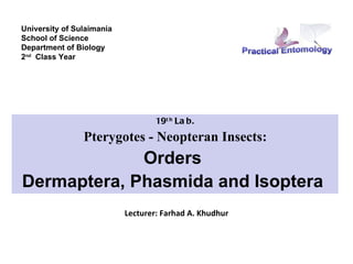 University of Sulaimania
School of Science
Department of Biology
2nd Class Year




                                   19t h La b.
                Pterygotes - Neopteran Insects:
             Orders
Dermaptera, Phasmida and Isoptera
                           Lecturer: Farhad A. Khudhur
 