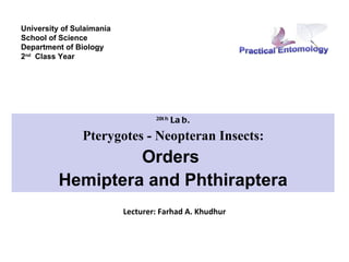 University of Sulaimania
School of Science
Department of Biology
2nd Class Year




                                   20t h
                                           La b.
                Pterygotes - Neopteran Insects:
                   Orders
          Hemiptera and Phthiraptera
                           Lecturer: Farhad A. Khudhur
 
