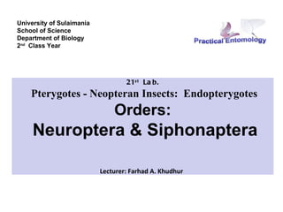 University of Sulaimania
School of Science
Department of Biology
2nd Class Year




                                   21s t La b.
    Pterygotes - Neopteran Insects: Endopterygotes
                               Orders:
     Neuroptera & Siphonaptera

                           Lecturer: Farhad A. Khudhur
 