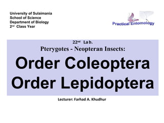 University of Sulaimania
School of Science
Department of Biology
2nd Class Year



                                   22nd La b.
                 Pterygotes - Neopteran Insects:

Order Coleoptera
Order Lepidoptera
                           Lecturer: Farhad A. Khudhur
 