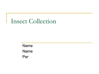 Insect Collection


    Name
    Name
    Per
 