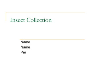 Insect Collection Name Name Per  