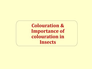 Colouration &
Importance of
colouration in
Insects
 