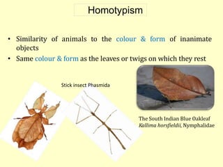 Insect colouration and its importance in entomology | PPTX