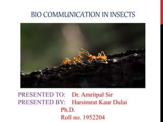 BIO COMMUNICATION IN INSECTS
PRESENTED TO: Dr. Amritpal Sir
PRESENTED BY: Harsimrat Kaur Dulai
Ph.D.
Roll no. 1952204
 
