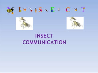 INSECT
COMMUNICATION
 