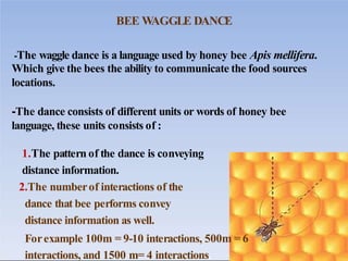 BEE W
AGGLE DANCE
-The waggle dance is a language used by honey bee Apis mellifera.
Which give the bees the ability to com...