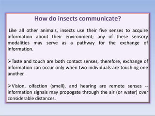 How do insects communicate?
Like all other animals, insects use their five senses to acquire
information about their envir...
