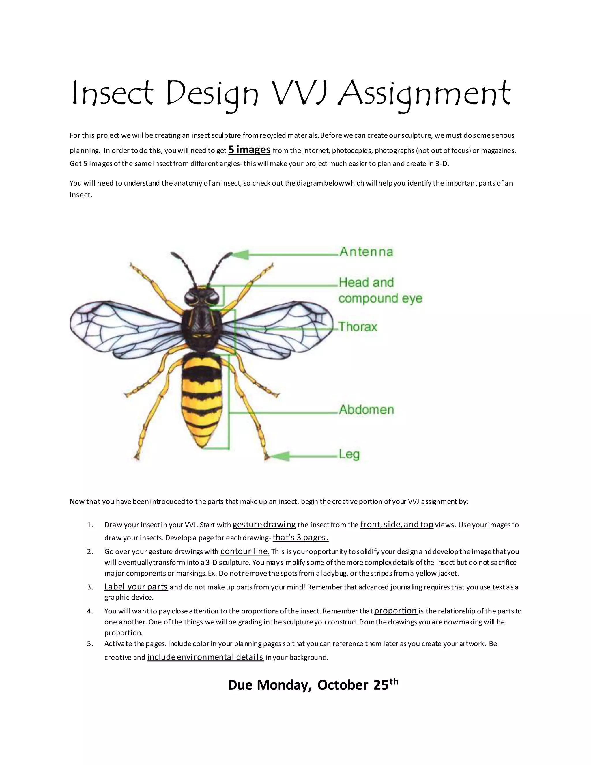 Insect Design VVJ Assignment
For this project wewill becreating an insect sculpture fromrecycled materials.Beforewecan createoursculpture, wemust dosomeserious
planning. In order todo this, youwill need to get 5 images from the internet, photocopies, photographs (not out offocus) or magazines.
Get 5 images of the sameinsectfrom differentangles-this willmakeyour project much easier to plan and create in 3-D.
You will need to understand theanatomy ofaninsect, so check out thediagrambelowwhich willhelpyou identify theimportantparts ofan
insect.
Now that you havebeenintroducedto theparts that makeup an insect, begin thecreativeportion ofyour VVJ assignment by:
1. Draw your insectin your VVJ. Start with gesturedrawing the insectfrom the front,side,and top views. Useyourimages to
draw your insects. Developa pagefor eachdrawing-that’s 3 pages.
2. Go over your gesture drawings with contour line.This is youropportunity tosolidify your designanddeveloptheimagethatyou
will eventuallytransforminto a 3-D sculpture. You maysimplify some ofthemorecomplexdetails ofthe insect but do not sacrifice
major components or markings.Ex. Do notremovethespots from a ladybug, or thestripes froma yellow jacket.
3. Label your parts and do not makeup parts from your mind!Remember that advanced journaling requires that youuse textas a
graphic device.
4. You will wantto pay closeattention to the proportions ofthe insect.Remember that proportion is therelationship oftheparts to
one another.One ofthe things wewillbe grading inthesculptureyou construct fromthedrawings youarenowmaking will be
proportion.
5. Activate thepages. Includecolorin your planning pages so that youcan reference them later as you create your artwork. Be
creative and includeenvironmental details inyour background.
Due Monday, October 25th
 