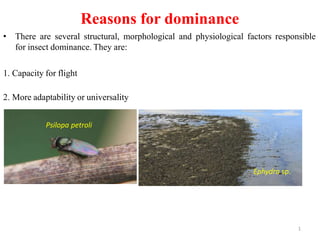 1
Reasons for dominance
• There are several structural, morphological and physiological factors responsible
for insect dominance. They are:
1. Capacity for flight
2. More adaptability or universality
Psilopa petroli
Ephydra sp.
 