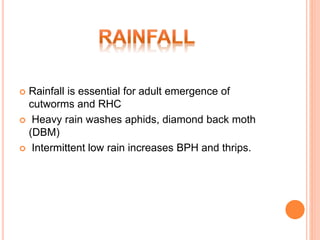  Rainfall is essential for adult emergence of
cutworms and RHC
 Heavy rain washes aphids, diamond back moth
(DBM)
 Intermittent low rain increases BPH and thrips.
 