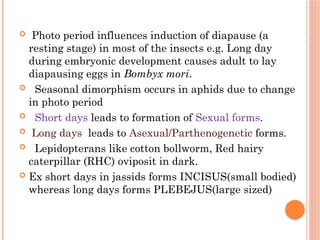 Photoperiod Insect insectecology abiotoc factors and its .pptx
