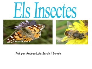 Fet per:Andreu,Laia,Sarah i Sergio Els Insectes  