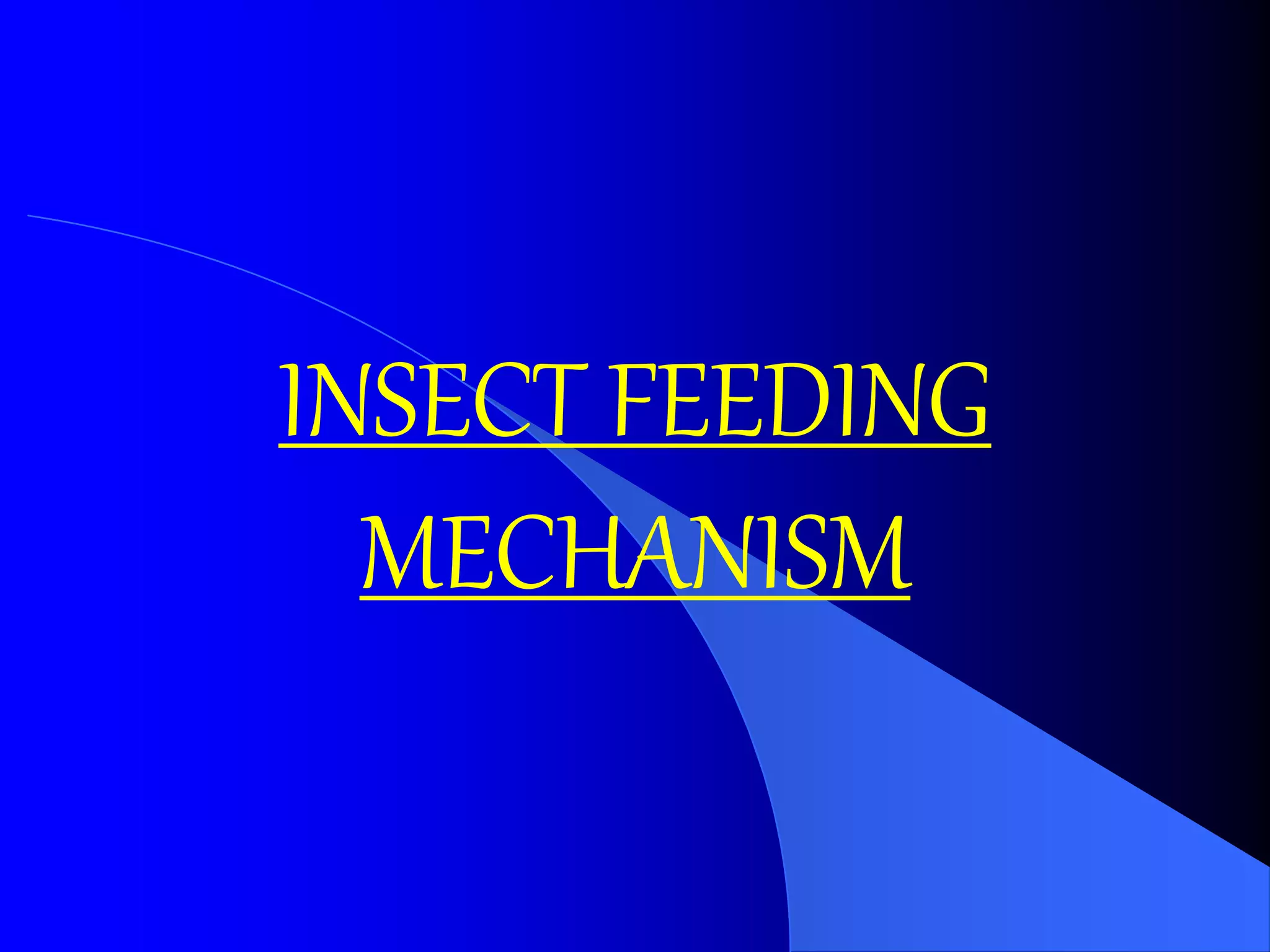 Insect feeding mechanism | PPTX