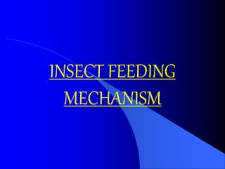 INSECT FEEDING
MECHANISM
 