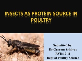 Submitted by:
Dr Gurram Srinivas
RVD/17-11
Dept of Poultry Science
 
