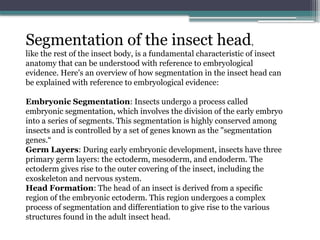 INSECT HEAD with embryological evidence (Sushant sharma).pptx