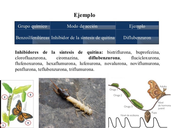 Insecticidas inhibidores de quitina