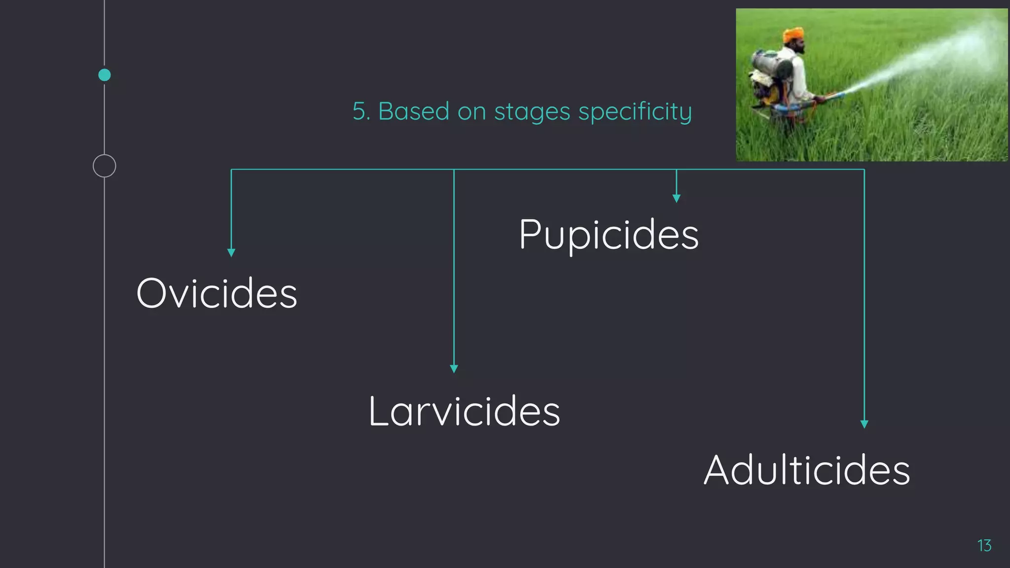 5. Based on stages specificity
Pupicides
Ovicides
Larvicides
Adulticides
13
 