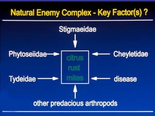 Insecticide classifications and toxicity.pdf
