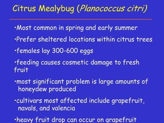 Insecticide classifications and toxicity.pdf