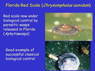 Insecticide classifications and toxicity.pdf