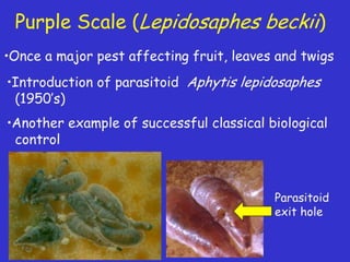 Insecticide classifications and toxicity.pdf