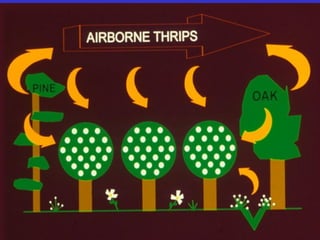 Insecticide classifications and toxicity.pdf