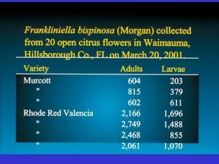 Insecticide classifications and toxicity.pdf