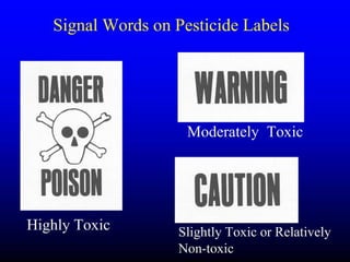 Insecticide classifications and toxicity.pdf