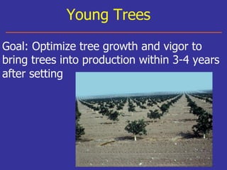 Insecticide classifications and toxicity.pdf