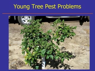 Insecticide classifications and toxicity.pdf