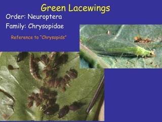 Insecticide classifications and toxicity.pdf