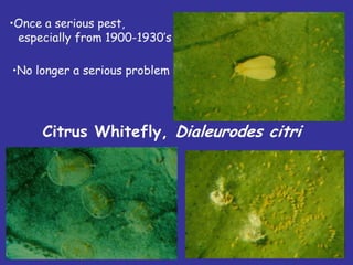 Insecticide classifications and toxicity.pdf