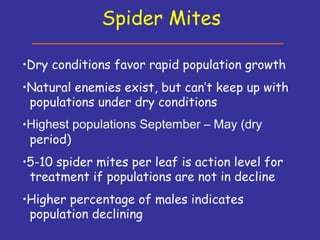 Insecticide classifications and toxicity.pdf