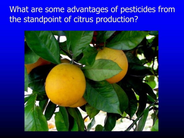 Insecticide classifications and toxicity.pdf