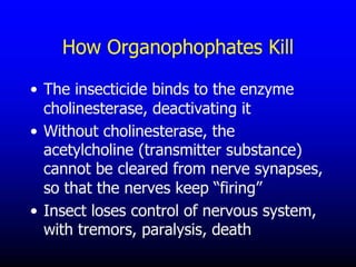 Insecticide classifications and toxicity.pdf