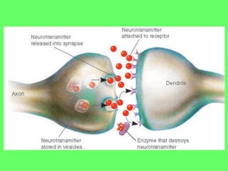 Insecticide classifications and toxicity.pdf